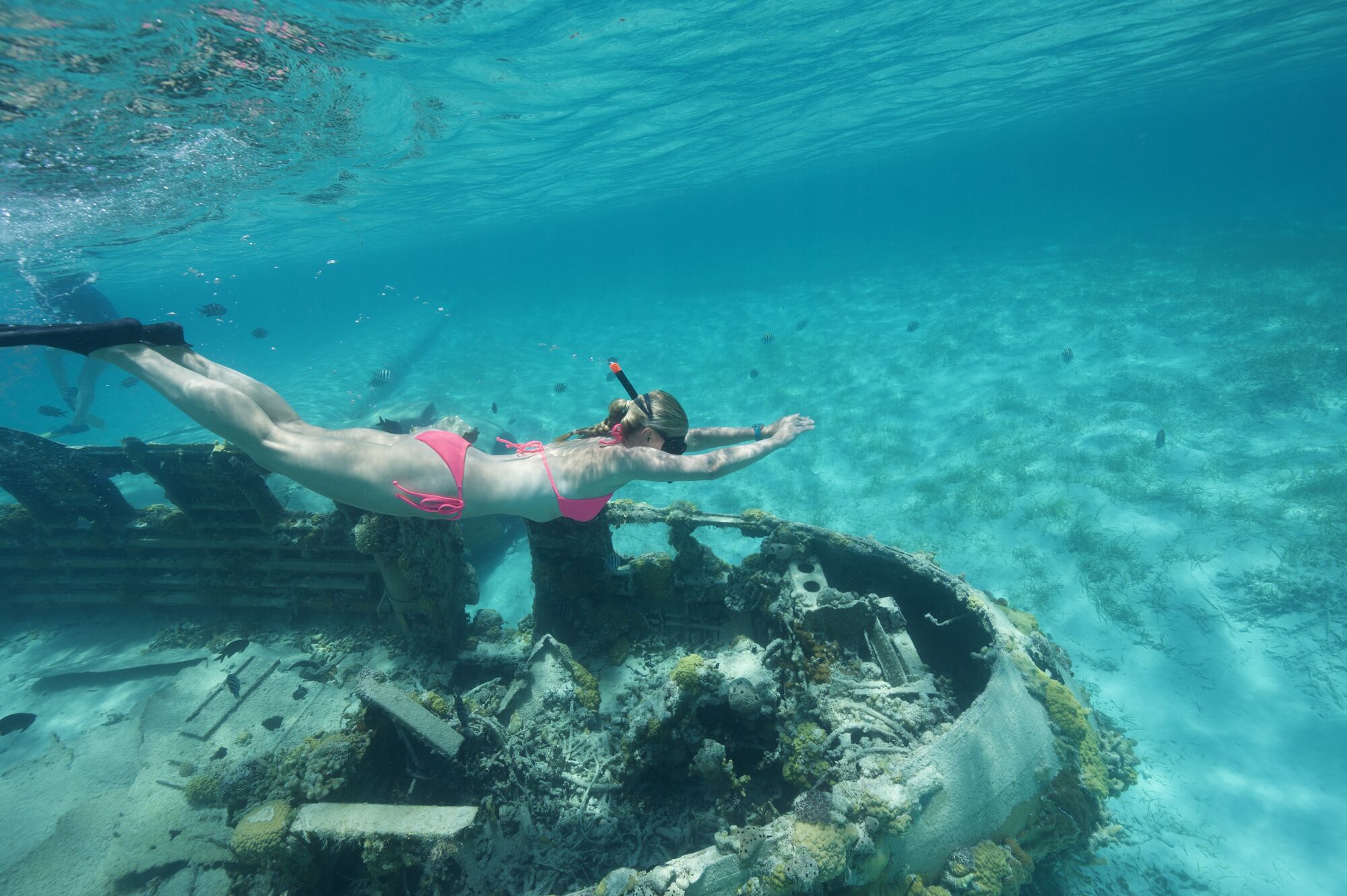 Woman freediving over sunken plane wreck in crystal clear Exumas water